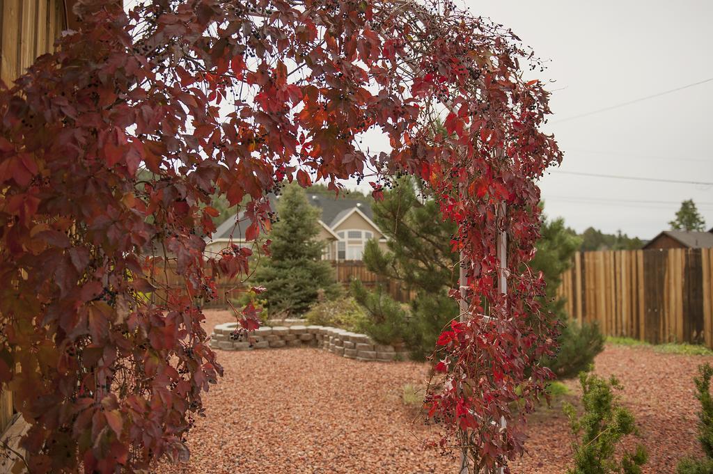Grand Canyon Bed And Breakfast Williams Buitenkant foto
